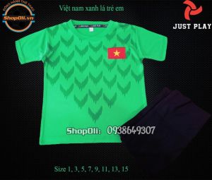 Bộ quần áo đá bóng trẻ em thủ môn Đội tuyển Việt Nam xanh lá 2019