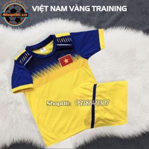 Bộ quần áo đá bóng trẻ em Việt Nam Vàng xanh 2019